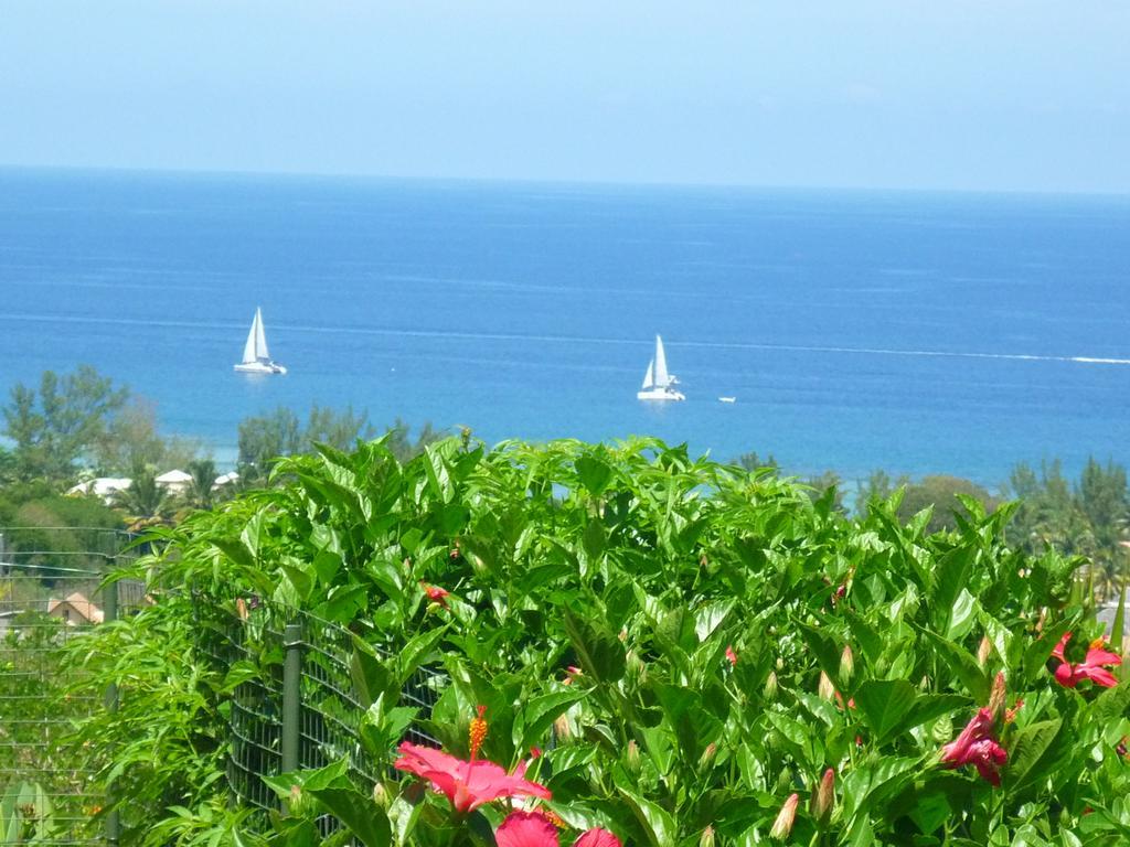 Appartamento Flamboyant Ocean View - Ex Hillside Haven Tamarin Esterno foto